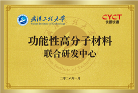 武汉工程大学