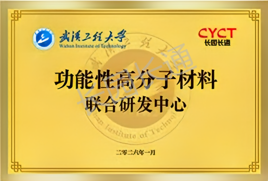 武汉工程大学