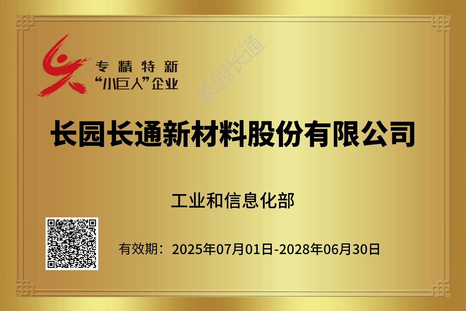 专精特新小巨人企业